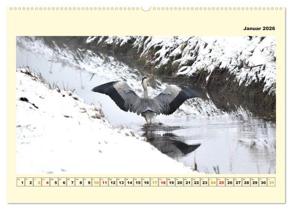 Produktbild: Unser Land im Norden (hochwertiger Premium Wandkalender 2026 DIN A2 quer), Kunstdruck in Hochglanz