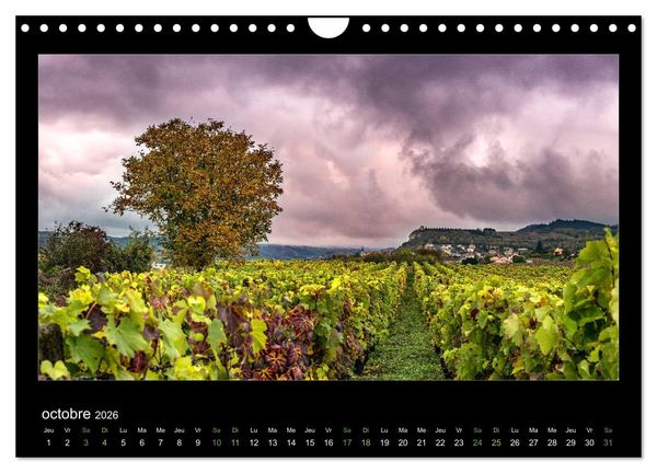 Produktbild: L'Auvergne est belle (Calendrier mural 2026 DIN A4 vertical), CALVENDO calendrier mensuel