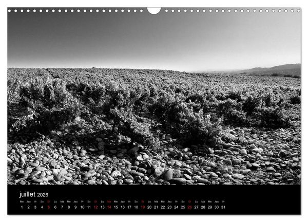 Produktbild: VIGNES DU SUD terroirs d'AOC (Calendrier mural 2026 DIN A3 vertical), CALVENDO calendrier mensuel
