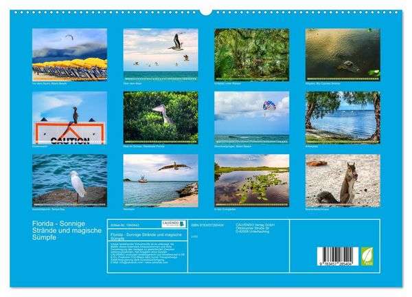 Produktbild: Florida - Sonnige Str&auml;nde und magische S&uuml;mpfe (hochwertiger Premium Wandkalender 2026 DIN A2 quer), Kunstdruck in Hochglanz
