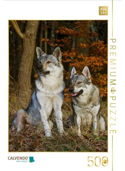 CALVENDO Puzzle Ein Motiv aus dem Kalender Faszination Wolfhund | 500 Teile Lege-Größe 48 × 36 cm Foto-Puzzle für Erwachsene