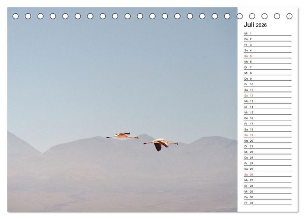 Produktbild: Mein Flamingo Planer (Tischkalender 2026 DIN A5 quer), CALVENDO Monatskalender