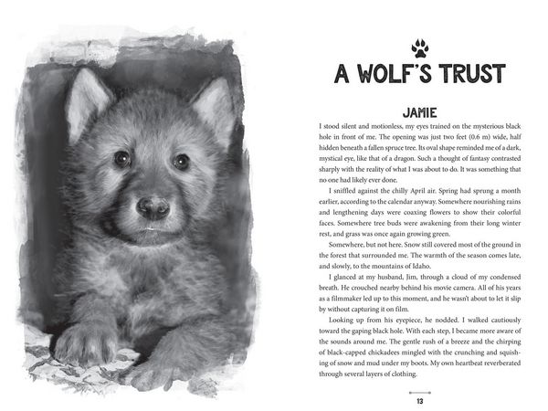 Produktbild: Running with Wolves