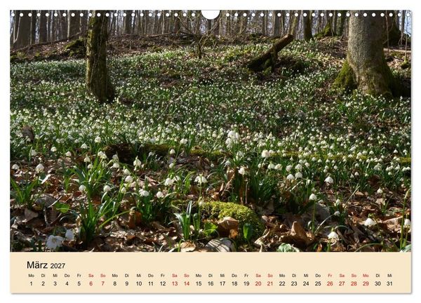 Produktbild: Franken - eine Region voller Naturwunder (Wandkalender 2027 DIN A3 quer), CALVENDO Monatskalender