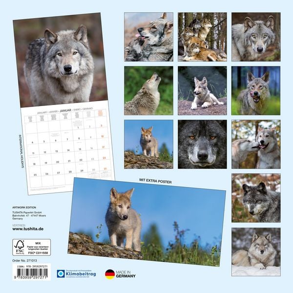 Produktbild: W&ouml;lfe / Wolves 2027