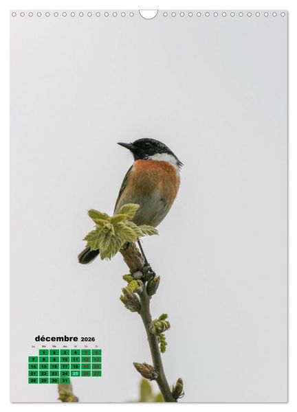 Produktbild: Lesbos l'&icirc;le aux oiseaux (Calendrier mural 2026 DIN A3 horizontal), CALVENDO calendrier mensuel