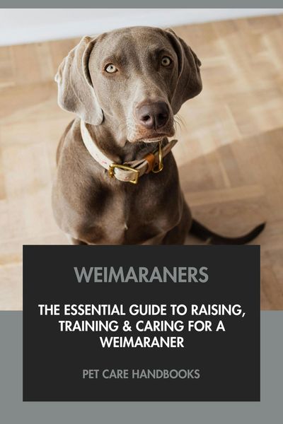Produktbild: Weimaraners: The Essential Guide to Raising, Training & Caring for A Weimaraner