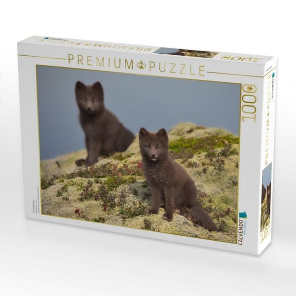 Produktbild: CALVENDO Puzzle Doppelg&auml;nger | 1000 Teile Lege-Gr&ouml;&szlig;e 64x48cm Foto-Puzzle f&uuml;r gl&uuml;ckliche Stunden
