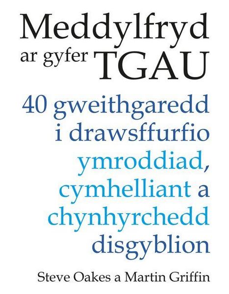 Produktbild: Meddylfryd AR Gyfer Tgau