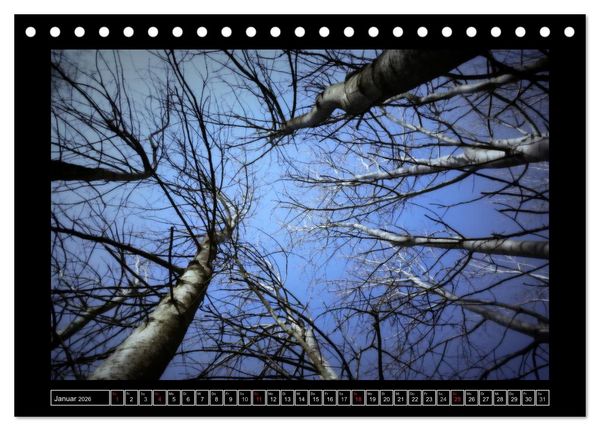 Produktbild: Der Reichswald bei Kleve (Tischkalender 2026 DIN A5 quer), CALVENDO Monatskalender