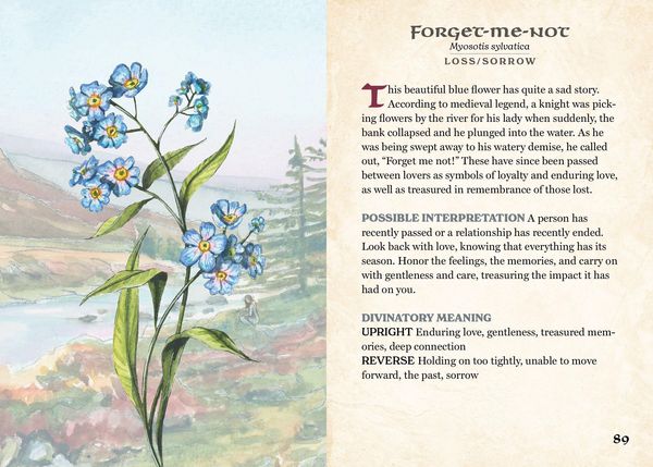 Produktbild: The Herbalist's Oracle