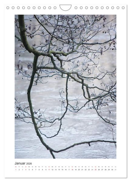 Produktbild: Impressionen aus unserem Wald (Wandkalender 2026 DIN A4 hoch), CALVENDO Monatskalender