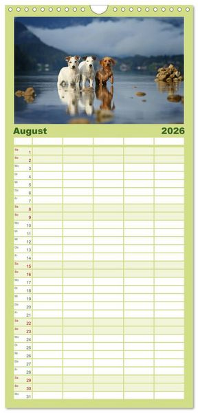 Produktbild: Familienplaner 2026 - Die Parson-Russell-Terrier ...mit neuen Abenteuern aus der Hundeknipserei mit 5 Spalten (Wandkalender, 21 x 45 cm) CALVENDO