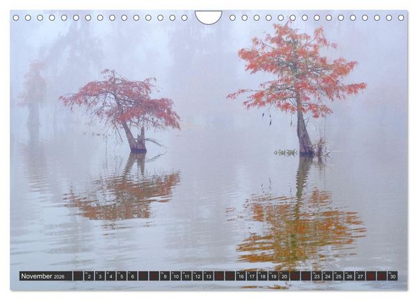 Produktbild: Natur Paradies Mississippi Delta (Wandkalender 2026 DIN A4 quer), CALVENDO Monatskalender