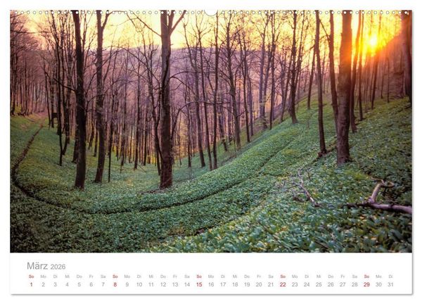 Produktbild: SCHW&Auml;BISCHE ALB W.Dieterich (Wandkalender 2026 DIN A2 quer), CALVENDO Monatskalender
