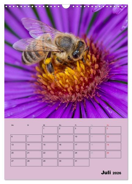 Produktbild: Bienenplaner (Wandkalender 2026 DIN A3 hoch), CALVENDO Monatskalender