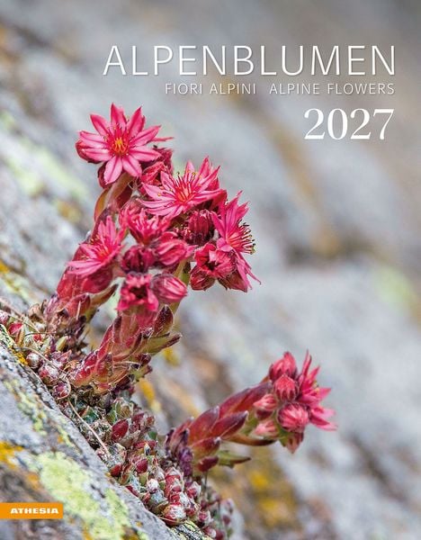 Produktbild: Alpenblumen Kalender 2027