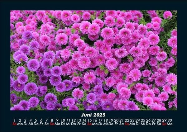 Produktbild: Blumenzauber 2025 Fotokalender DIN A5