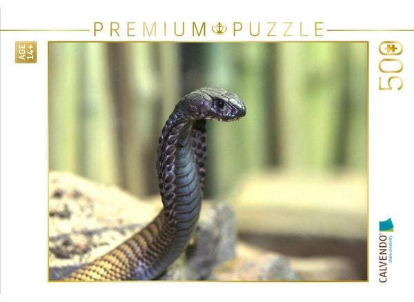 CALVENDO Puzzle Gefährliche Schlangen - Arabische Kobra | 500 Teile Lege-Größe 48 × 36 cm Foto-Puzzle für Erwachsene