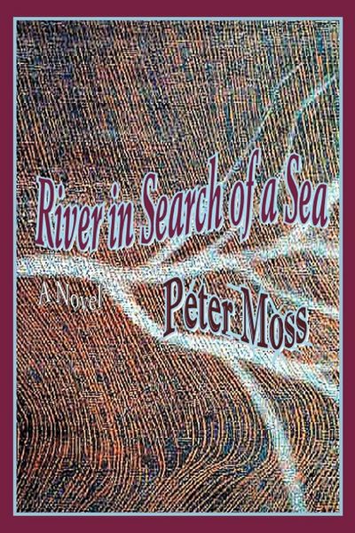 Produktbild: River in Search of a Sea