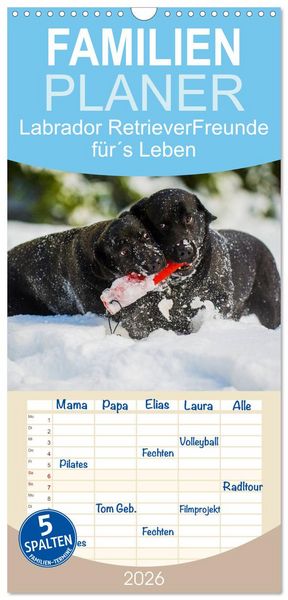 Familienplaner 2026 - Labrador Retriever - Freunde für ́s Leben mit 5 Spalten (Wandkalender, 21 x 45 cm) CALVENDO