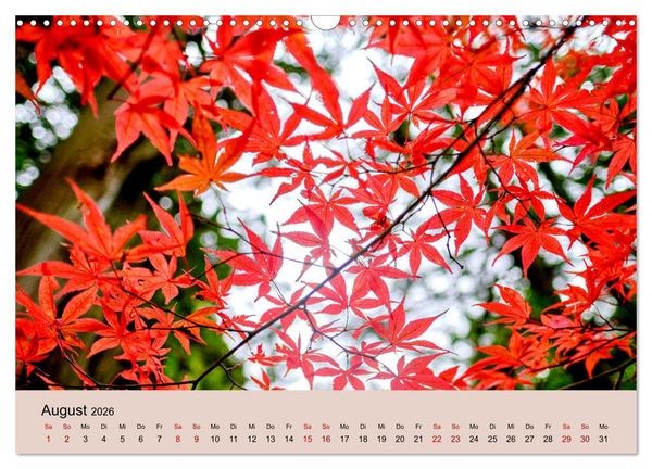Produktbild: Japan im Herbst (Wandkalender 2026 DIN A3 quer), CALVENDO Monatskalender