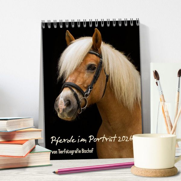 Produktbild: Pferde im Portait (Tischkalender 2026 DIN A5 hoch), CALVENDO Monatskalender