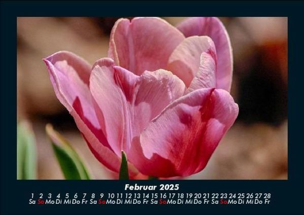 Produktbild: Blumenkalender 2025 Fotokalender DIN A5