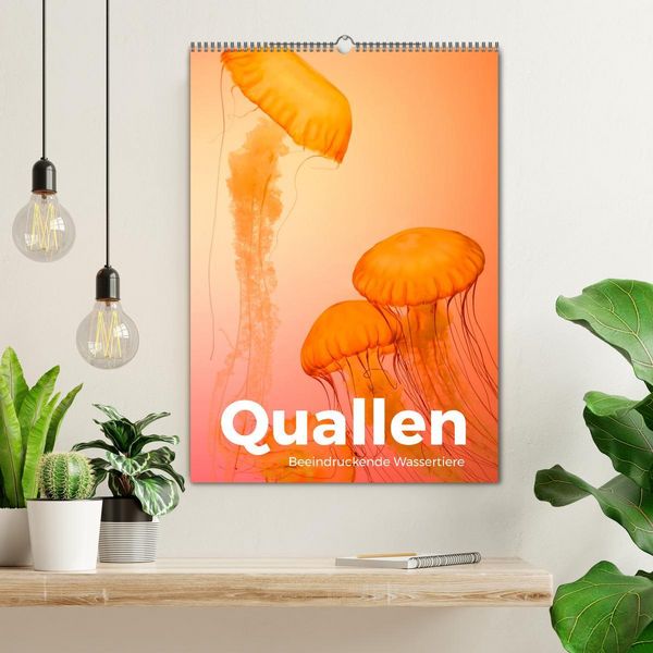 Produktbild: Quallen - Beeindruckende Wassertiere (Wandkalender 2026 DIN A2 hoch), CALVENDO Monatskalender