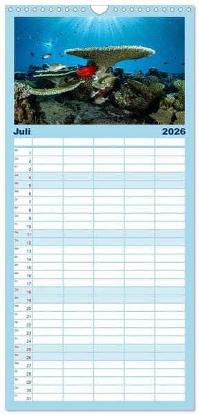 Produktbild: Familienplaner 2026 - Faszinierende Meereswelt der Malediven mit 5 Spalten (Wandkalender, 21 x 45 cm) CALVENDO