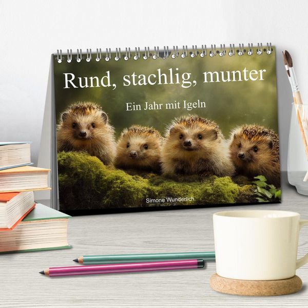 Produktbild: Rund, stachlig, munter - Ein Jahr mit Igeln (Tischkalender 2026 DIN A5 quer), CALVENDO Monatskalender
