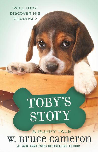Produktbild: Toby's Story
