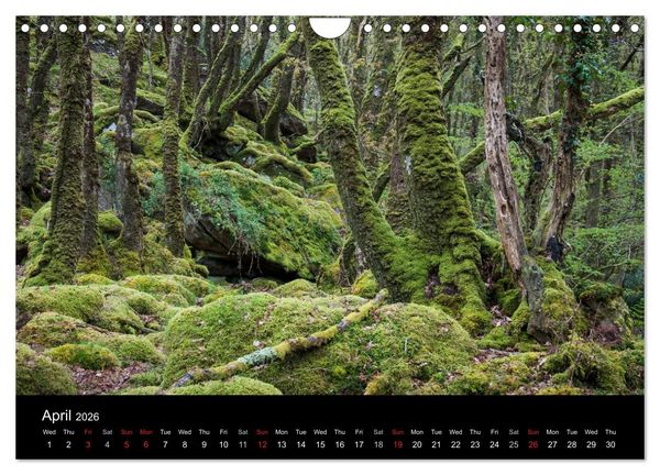Produktbild: Scenes from Pembrokeshire (Wall Calendar 2026 DIN A4 landscape), CALVENDO 12 Month Wall Calendar