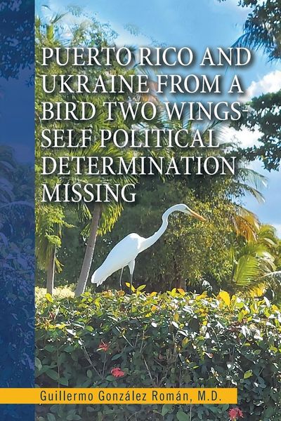 Produktbild: Puerto Rico and Ukraine from a Bird Two Wings- Self Political Determination Missing