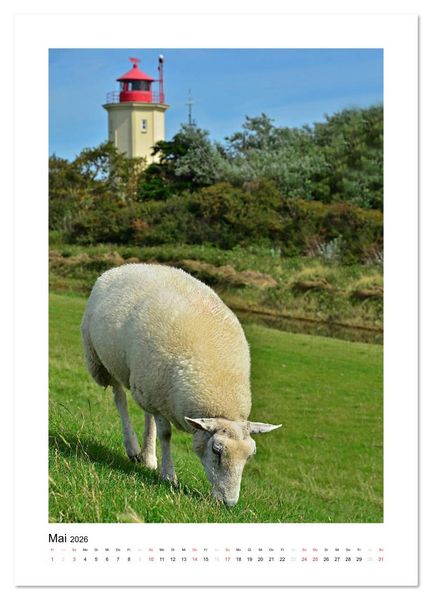 Produktbild: Leuchtt&uuml;rme - Impressionen der stillen Wachposten am Ufer (Wandkalender 2026 DIN A4 hoch), CALVENDO Monatskalender
