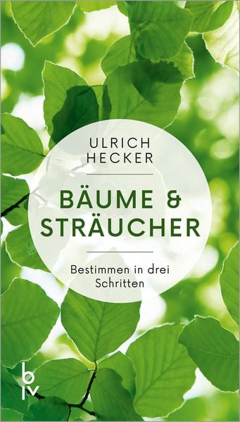 Bäume und Sträucher, Taschenbuch von Ulrich Hecker, BLV ein Imprint von GRÄFE UND UNZER Verlag GmbH, 978-3-8354-1557-7