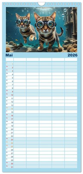 Produktbild: Familienplaner 2026 - Katzen unter Wasser mit 5 Spalten (Wandkalender, 21 x 45 cm) CALVENDO