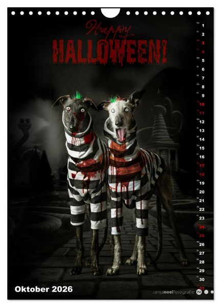 Produktbild: dogmuse deluxe (Wandkalender 2026 DIN A4 hoch), CALVENDO Monatskalender