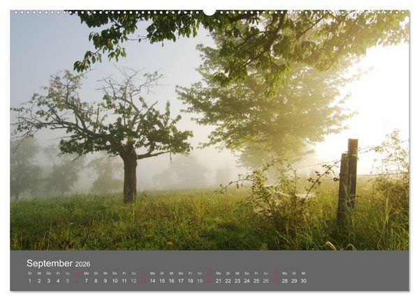 Produktbild: B&auml;ume (hochwertiger Premium Wandkalender 2026 DIN A2 quer), Kunstdruck in Hochglanz