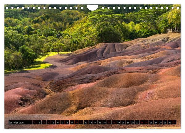 Produktbild: Maurice - l'Oc&eacute;an Indien (Calendrier mural 2026 DIN A4 vertical), CALVENDO calendrier mensuel