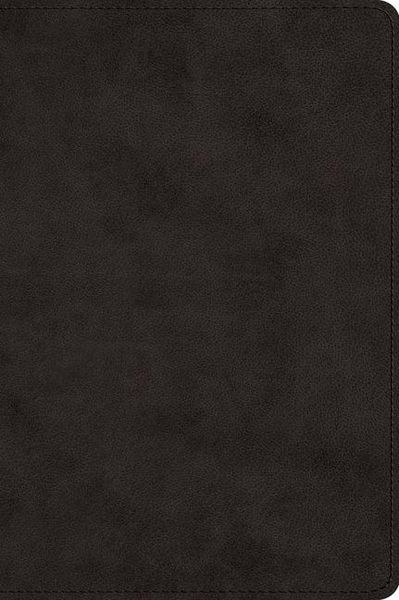 Produktbild: ESV Large Print Bible
