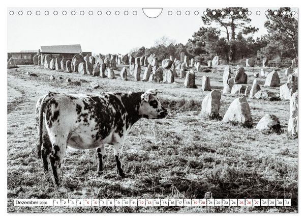 Produktbild: Bretagne Mythen und Steine (Wandkalender 2026 DIN A4 quer), CALVENDO Monatskalender