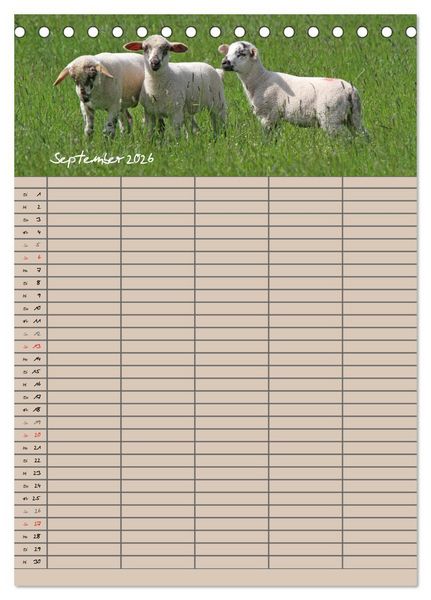 Produktbild: Der bel&auml;mmerte Familienplaner (Tischkalender 2026 DIN A5 hoch), CALVENDO Monatskalender