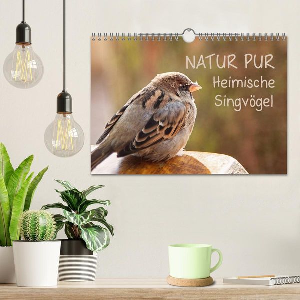 Produktbild: NATUR PUR Heimische Singv&ouml;gel (Wandkalender 2026 DIN A4 quer), CALVENDO Monatskalender