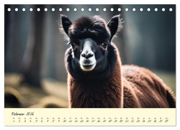 Produktbild: Alpakas, die sanften Andenbewohner (Tischkalender 2026 DIN A5 quer), CALVENDO Monatskalender