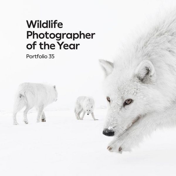 Produktbild: Wildlife Photographer of the Year: Portfolio 35
