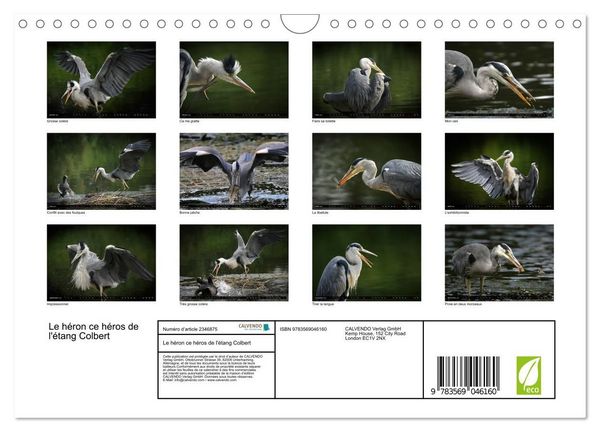 Produktbild: Le h&eacute;ron ce h&eacute;ros de l'&eacute;tang Colbert (Calendrier mural 2027 DIN A4 vertical), CALVENDO calendrier mensuel