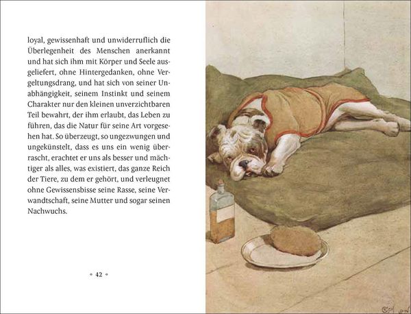 Produktbild: Mein Hund