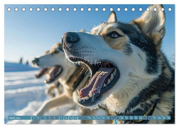 Produktbild: Schlittenhund Tr&auml;ume (Tischkalender 2026 DIN A5 quer), CALVENDO Monatskalender