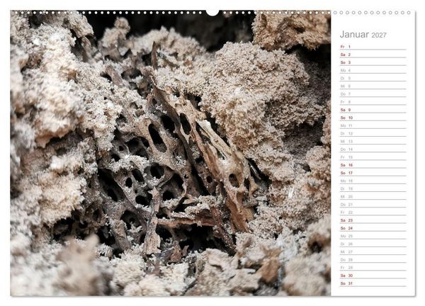 Produktbild: Abstrakte Umwelt (Wandkalender 2027 DIN A2 quer), CALVENDO Monatskalender